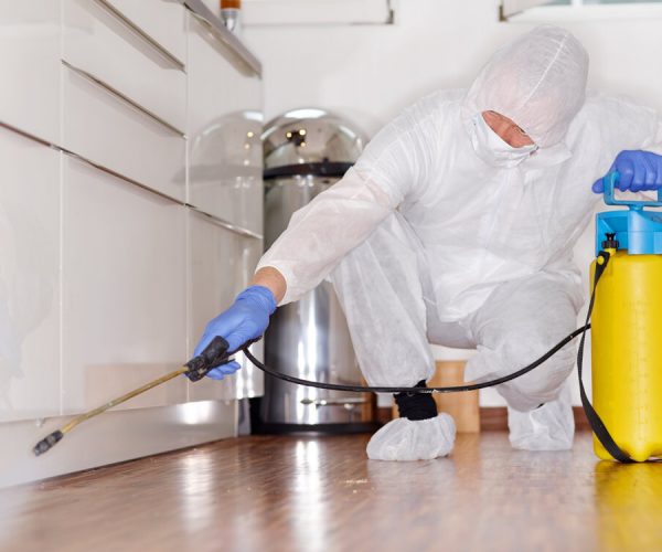 Ordinary and extraordinary cleaning: what are they?