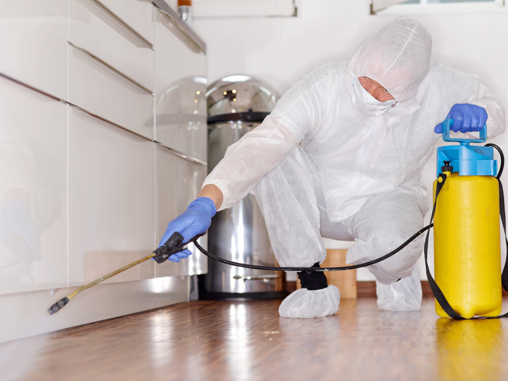 Ordinary and extraordinary cleaning: what are they?